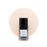 Pilot Pilot Iroshizuku Mini Rikka Inchiostro 15 ml
