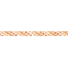 MT Masking Tape MT x Maruichikyu Washi Tape Cookie Stripe