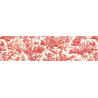 MT Masking Tape MT x Toile de Jouy Washi Tape Les Quatre Parties du Monde