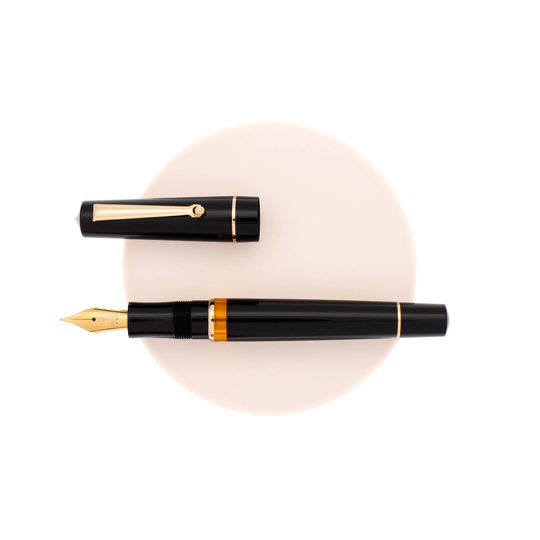 Delta Dune Fountain Pen Black & Gold