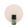 Ferris Wheel Press Ferris Wheel Press Lores of the Loch Ink Bottle 10 ml