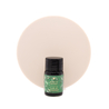 Ferris Wheel Press Ferris Wheel Press Book of Botany Inchiostro 10 ml