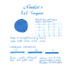 Noodler's Eel Turquoise Inchiostro 3 oz