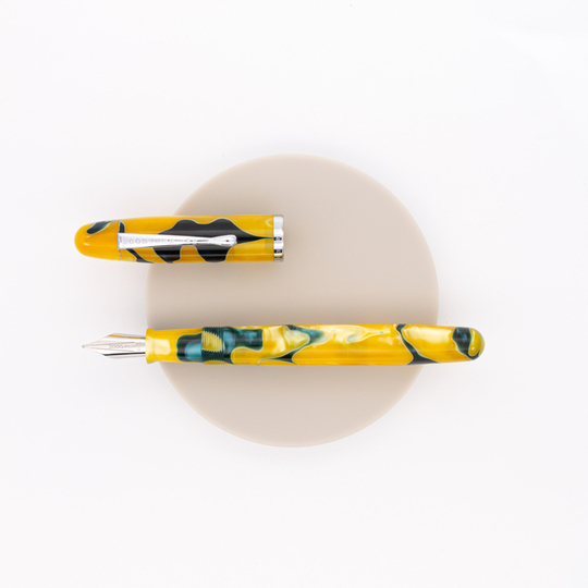 Noodler's Neponset Acrylic Fountain Pen Victory Garden