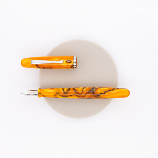 Noodler's Neponset Penna Stilografica Bengal Tiger Acrilico