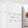 Noodler's Golden Brown Ink Bottle 3 oz