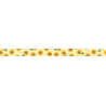 MT Masking Tape MT x Maruichikyu Washi Tape Girasoli