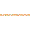 MT Masking Tape MT x Maruichikyu Washi Tape Kinmokusei
