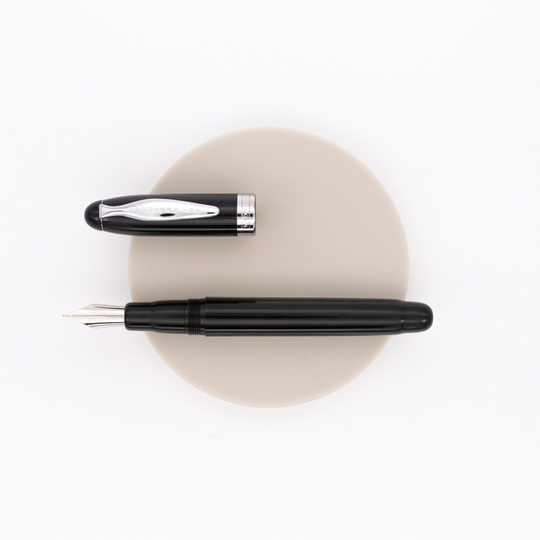 Noodler's Ahab Penna Stilografica Nera