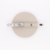 Noodler's Ahab Fountain Pen Clear
