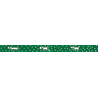 MT Masking Tape MT x Matsubayashi Makoto Washi Tape Walk