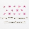 Bande Bande Washi Tape Kawazu Cherry Tree