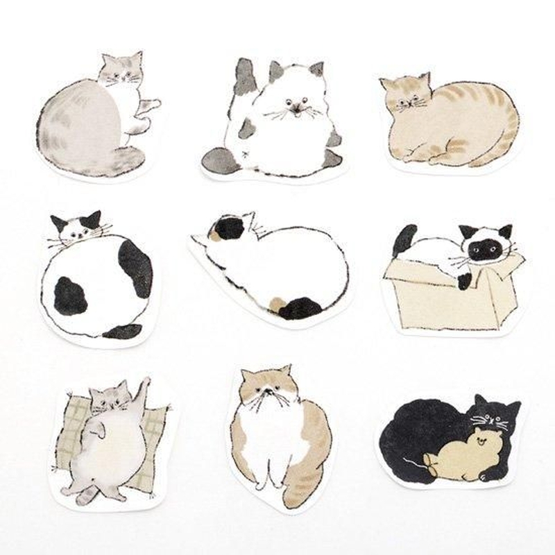 Bande Bande Adesivi da Scrivere con Animali