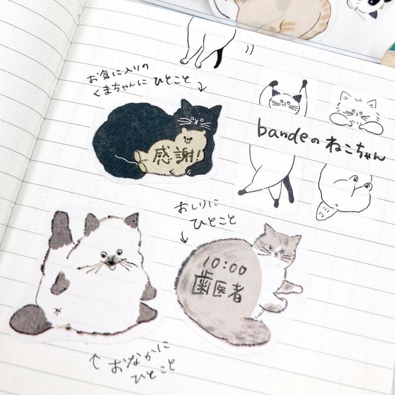 Bande Bande Adesivi da Scrivere con Animali