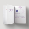 Diamine Diamine Inkvent Icy Lilac Ink Bottle 50 ml Black Edition Shimmer