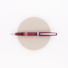 Noodler's Nib Creaper Fountain Pen King Philip Purple