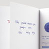 Diamine Diamine Inkvent Snow Globe Inchiostro 50 ml Black Edition Shimmer