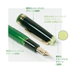 Sailor Sailor ProGear Penna Stilografica Japanese Tea Ceremony Matcha