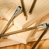 Blackwing Blackwing Volume 21 Matite in Edizione Limitata