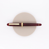 Platinum 3776 Century Penna Stilografica Bourgogne