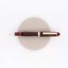Platinum 3776 Century Penna Stilografica Bourgogne