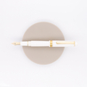 Platinum 3776 Century Fountain Pen Chenonceau White