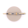 Platinum Platinum 3776 Century 2.0 Penna Stilografica Trasparente Edizione Limitata