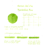 Lennon Tool Bar Lennon Tool Bar 2026 Spring Limited Maidenhair Fern Ink Bottle 30 ml