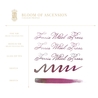 Ferris Wheel Press Ferris Wheel Press Bloom of Ascension Inchiostro 20 ml