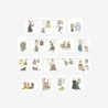 Bande Bande Washi Tape Lavare Insieme: con il Gatto e Me