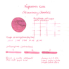 Nagasawa Nagasawa Kobe Monogatari Strawberry Chocolate Ink Bottle 50 ml