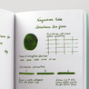 Nagasawa Nagasawa Kobe Monogatari Sorakuen Tea Green Ink Bottle 50 ml