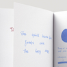 Noodler's Periwinkle Eternal Inchiostro 1 oz
