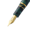 Esterbrook Esterbrook Estie Penna Stilografica Evergreen Edizione Speciale