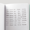 Esterbrook Esterbrook Niblet Penna Stilografica Evergreen Edizione Speciale