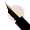 Sailor Sailor Black Micarta Penna Stilografica Edizione Limitata