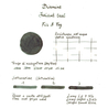 Diamine Diamine Inkvent Fir & Fog Ink Bottle 50 ml Teal Edition Chameleon