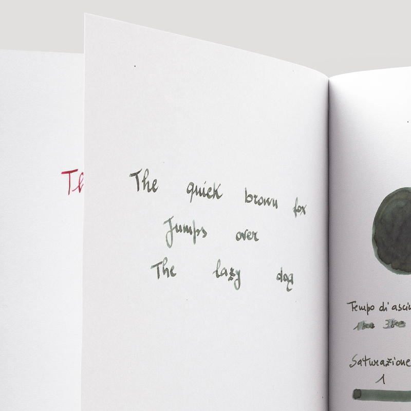 Diamine Diamine Inkvent Fir & Fog Ink Bottle 50 ml Teal Edition Chameleon
