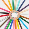 Blackwing Blackwing Colors Set of 24 Colored Pencils