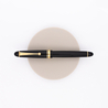 Pilot Custom 742 Falcon Penna Stilografica Nera
