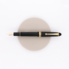 Pilot Custom 742 Waverly Penna Stilografica Nera