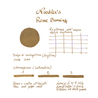 Noodler's Rome Burning Ink Bottle 3 oz