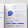 Aurora Blue 5 Ink Cartridges
