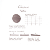 Colorverse Matter & Anti-Matter Ink Bottle 65 + 15 ml