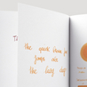 Herbin Orange Indien 6 Ink Cartridges