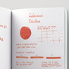 Colorverse Electron & Selectron Inchiostro 65 + 15 ml