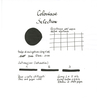 Colorverse Electron & Selectron Ink Bottle 65 + 15 ml